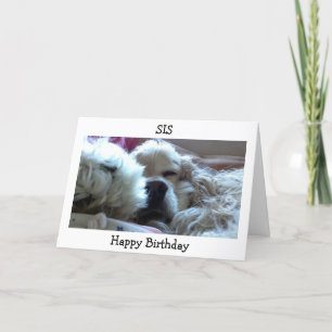 HAPPY BIRTHDAY SIS-TAKE NAP/DO WHATEVER U WISH CARD