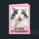 Happy Birthday Sister Funny Cat in Make Up Holiday Card<br><div class="desc">Tell your sister to get "dolled up" and enjoy their day to sparkle and shine with this hilarious cat in vibrant make up who just applied red lipstick when you wish them a Happy Birthday!</div>