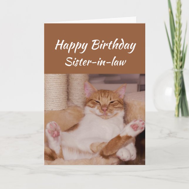 Happy Birthday Sister-in-law Celebrate Funny Cat Card (Front)