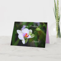 Happy Birthday Sister Phalaenopsis Orchid Card