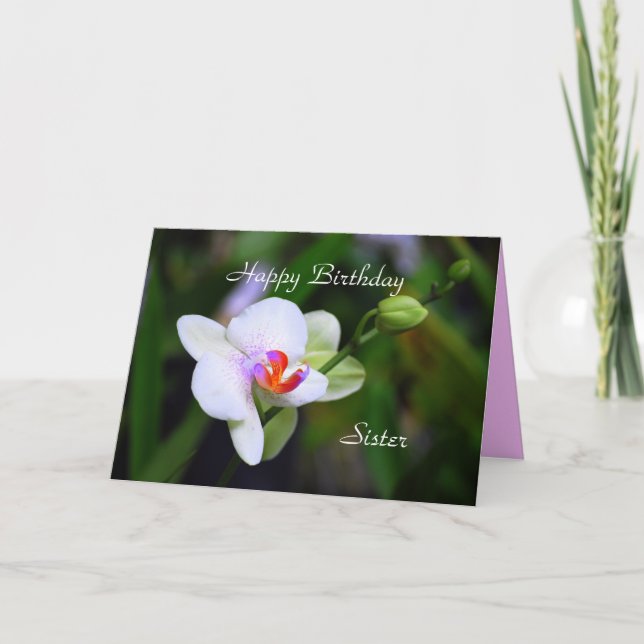 Happy Birthday Sister Phalaenopsis Orchid Card (Front)