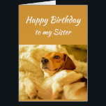 Happy Birthday Sister Real Age Humour Fun Dog<br><div class="desc">Happy Birthday Sister Friend Funny Animals.  Just remember I know your real age with cute shocked looking dog</div>