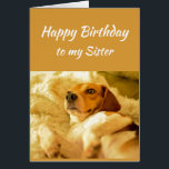Happy Birthday Sister Real Age Humour Fun Dog<br><div class="desc">Happy Birthday Sister Friend Funny Animals.  Just remember I know your real age with cute shocked looking dog</div>