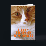 Happy Birthday Sister - Sweet Cat Card<br><div class="desc">Wish your sister a "Happy Birthday",  with this cute card from my "Kitty Koolness" Collection,  featuring an adorable orange and white kitty. The inside can be kept as is,  or personalised by you for that added touch. photo by designer.</div>
