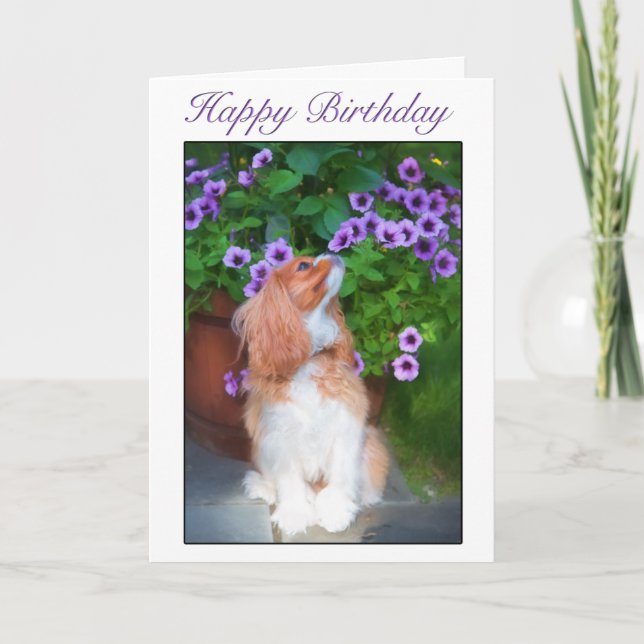 Happy Birthday Smelling Flowers King Charles Dog Card (Front)