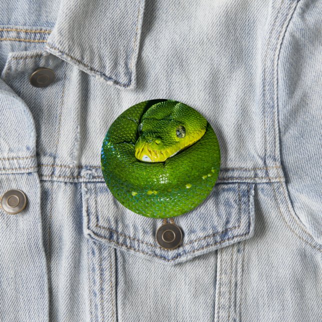 Happy Birthday Snake Button (In Situ)