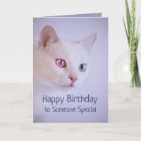 Happy Birthday Someone Special to Me Cat