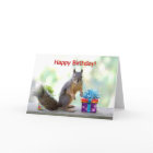 Happy Birthday Squirrel