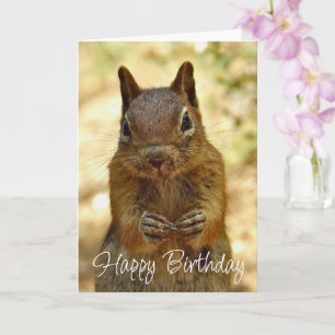 Happy Birthday Squirrel Looking for Cake Card