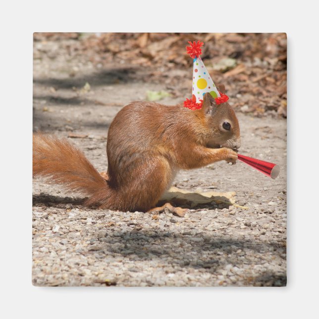 Happy Birthday Squirrel Magnet (Front)