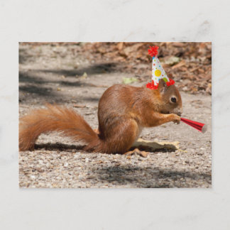 Happy Birthday Squirrel Postcard