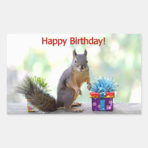 Happy Birthday Squirrel Rectangular Sticker