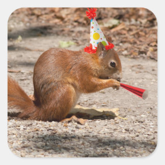 Happy Birthday Squirrel Square Sticker