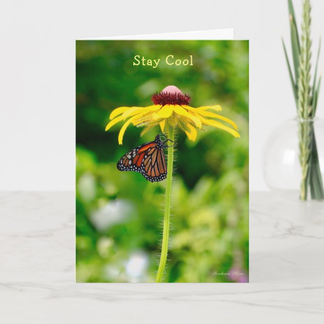 Happy Birthday: Stay cool Card (Front)