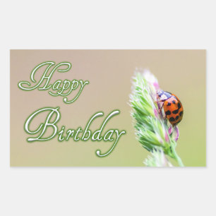 Happy Birthday stickers with a ladybug!