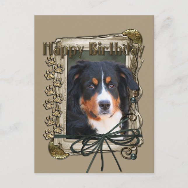 Happy Birthday - Stone Paws - Bernese Mountain Dog Postcard (Front)