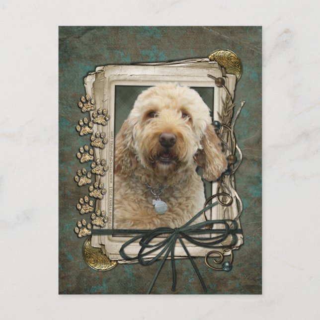 Happy Birthday - Stone Paws - GoldenDoodle Postcard (Front)