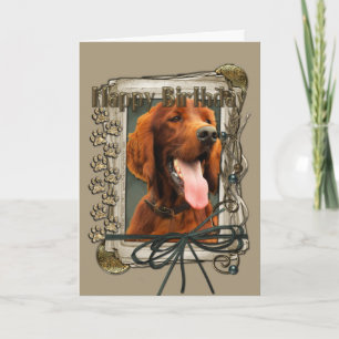 Happy Birthday - Stone Paws - Irish Setter Card