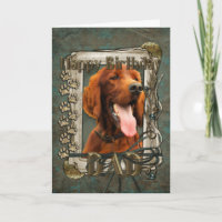 Happy Birthday - Stone Paws - Irish Setter - Dad