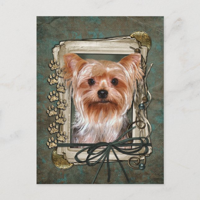 Happy Birthday - Stone Paws - Yorkshire Terrier Postcard (Front)