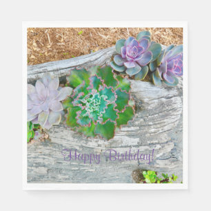 Happy Birthday Succulents On Driftwood Napkin