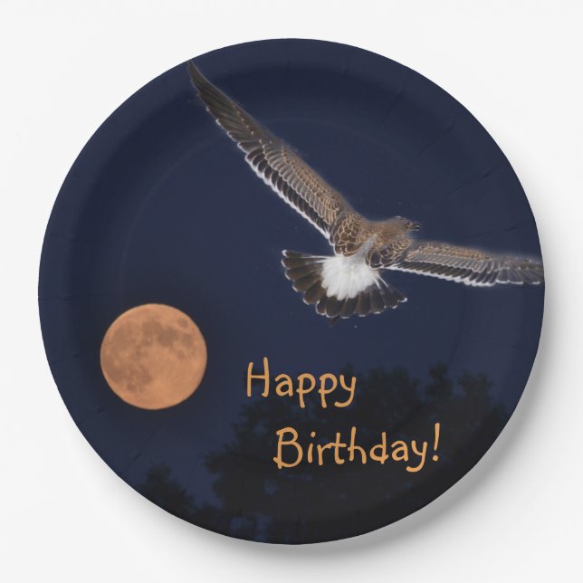 Happy Birthday Summer Moon Paper Plate (Front)