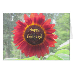 Happy Birthday Sunflower