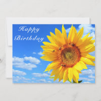 Happy Birthday - Sunflower and Bees on Blue Sky