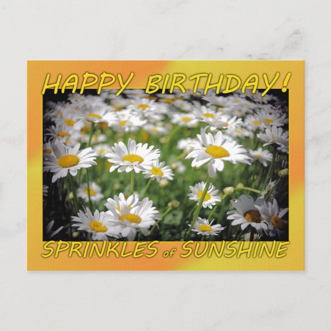 Happy Birthday Sunshine Postcard (Front)