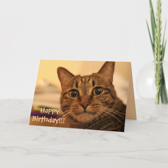 Happy Birthday Tabby Cat Card (Front)