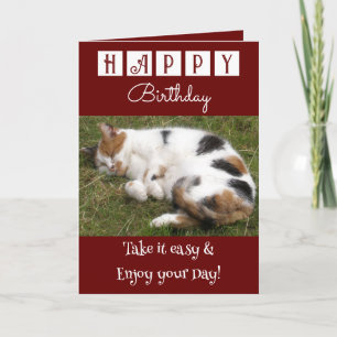 Happy Birthday take it easy cat photo burgundy Card