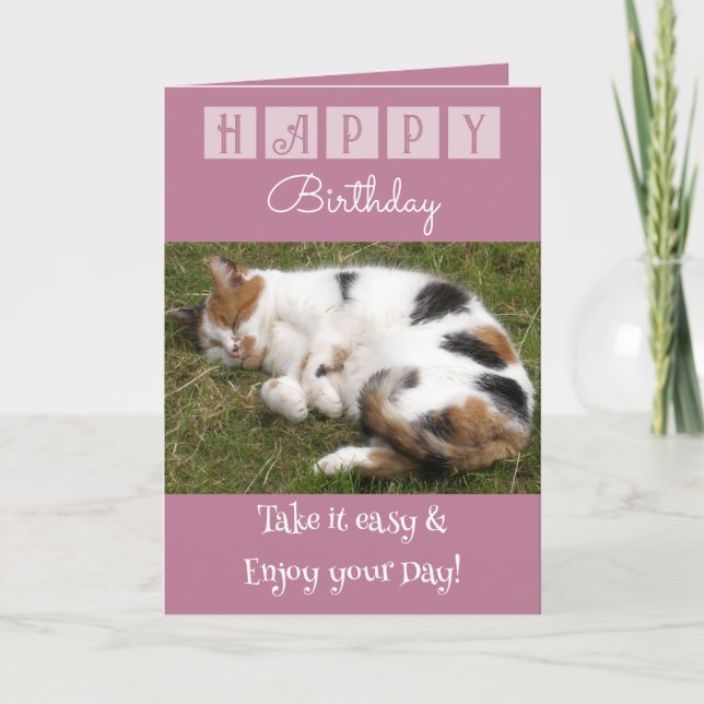 Happy Birthday take it easy cat photo pink Card (Front)