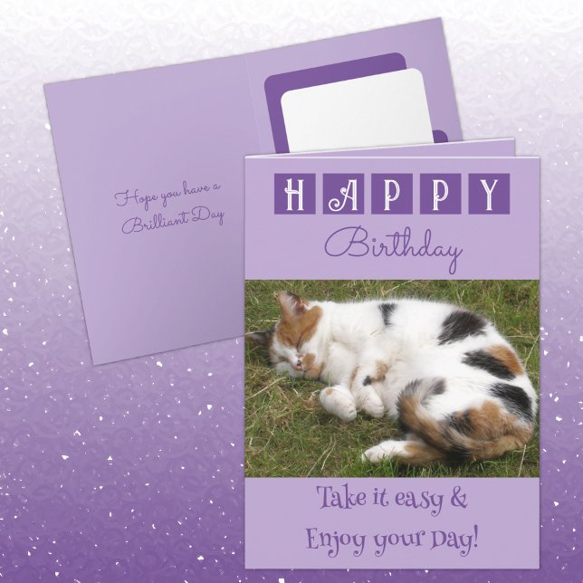 Happy Birthday take it easy cat photo purple Card (Creator Uploaded)