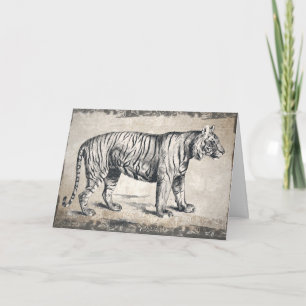 Happy Birthday Tiger, Boyfriend Birthday Card