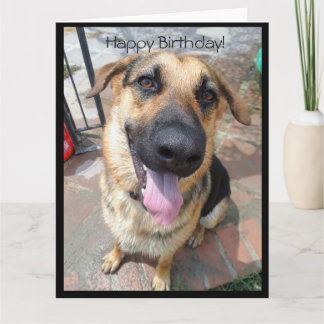 Happy Birthday To a Young Pup German Shepherd Card