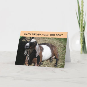 HAPPY BIRTHDAY to an OLD GOAT Card
