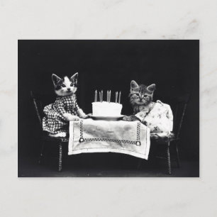 Happy Birthday to Meow Kitties with Cake Postcard