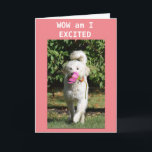 HAPPY BIRTHDAY TO MY *GRANDDAUGHTER* CARD<br><div class="desc">FLOWER IS ALWAYS NICE BUT FROM MOLY IT IS EVEN NICER. CUTE CARD FOR YOU "GRANDDAUGHTER" ON HER BIRTHDAY FOR SURE!!! THANK YOU FOR STOPPING BY ONE OF MY EIGHT STORES! CHANGE THE AGE IF YOU WISH IN SECONDS :)</div>
