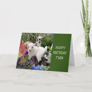 HAPPY BIRTHDAY TO MY ***TWIN*** CARD