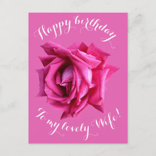 Happy Birthday to my wife hot pink rose floral fun Postcard