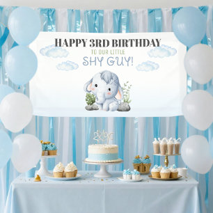Happy Birthday To Our Little Shy Guy Banner