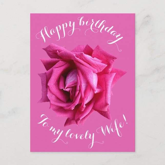 Happy Birthday to wife hot pink rose floral love Postcard (Front)
