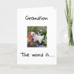 HAPPY BIRTHDAY TO YOU **GRANDSON** CARD<br><div class="desc">HAPPY BIRTHDAY  ***GRANDSON**** THANKS FOR STOPPING BY ONE OF MY EIGHT STORES!</div>