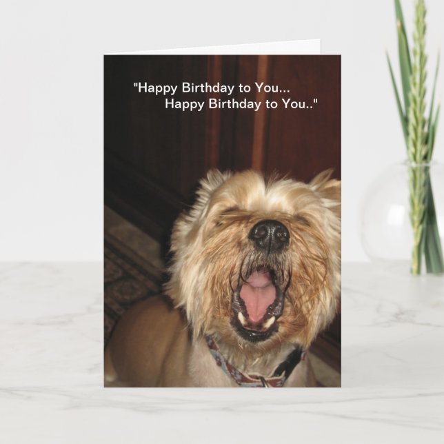 "Happy Birthday to You" - Singing Dog Card (Front)