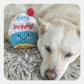 Happy Birthday to you.. Square Sticker