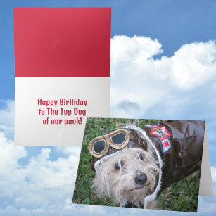Happy Birthday Top Dog of Our Pack Cute Puppy Card