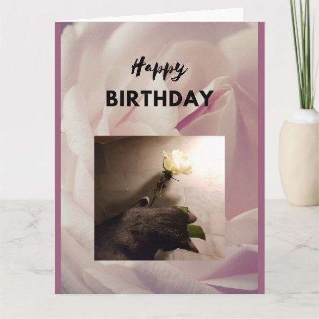 Happy Birthday. Tuxedo cat with a rose. Card (Front)