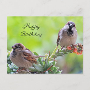Happy Birthday Two Cute Sparrow Birds  Postcard