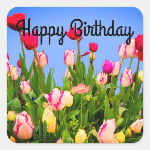 Happy Birthday Various Tulips #3 Stickers