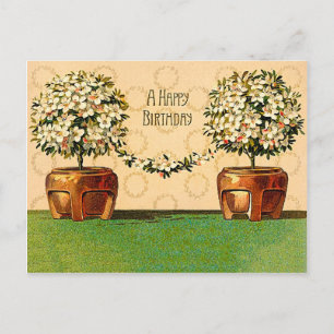 Happy Birthday Vintage Flowering Pots Postcard
